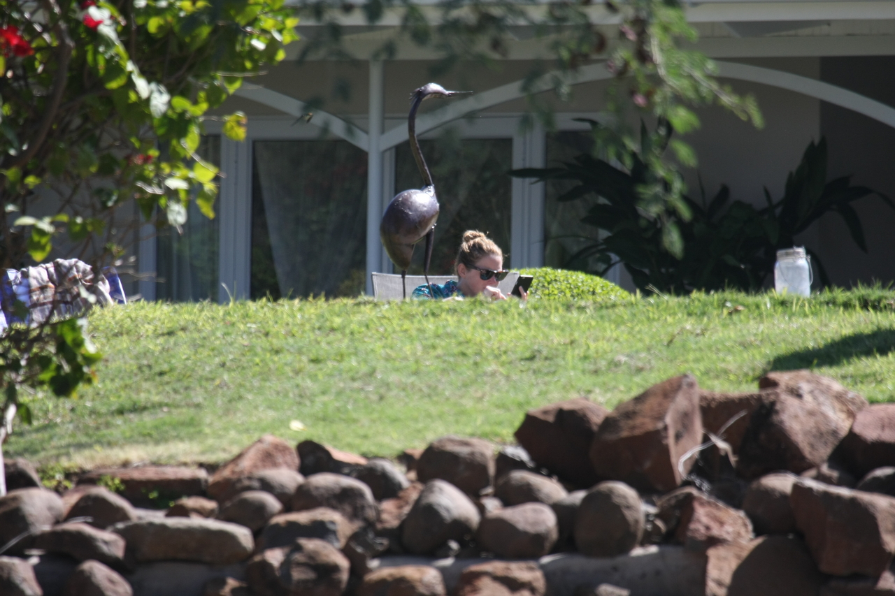 [32938] 2016_07_04_06_30_04_Africa_Canon_EOS_40D_IMG__05937.jpg