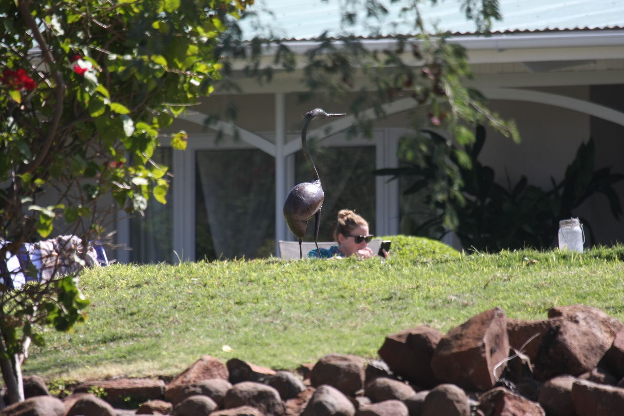 [32943] 2016_07_04_06_30_28_Africa_Canon_EOS_40D_IMG__00336.jpg