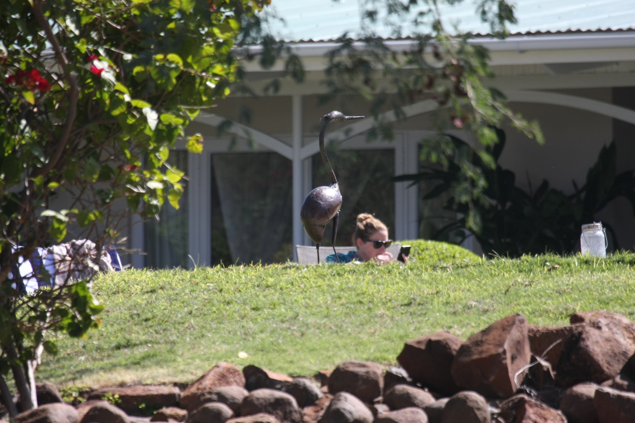 [32946] 2016_07_04_06_30_28_Africa_Canon_EOS_40D_IMG__13406.jpg