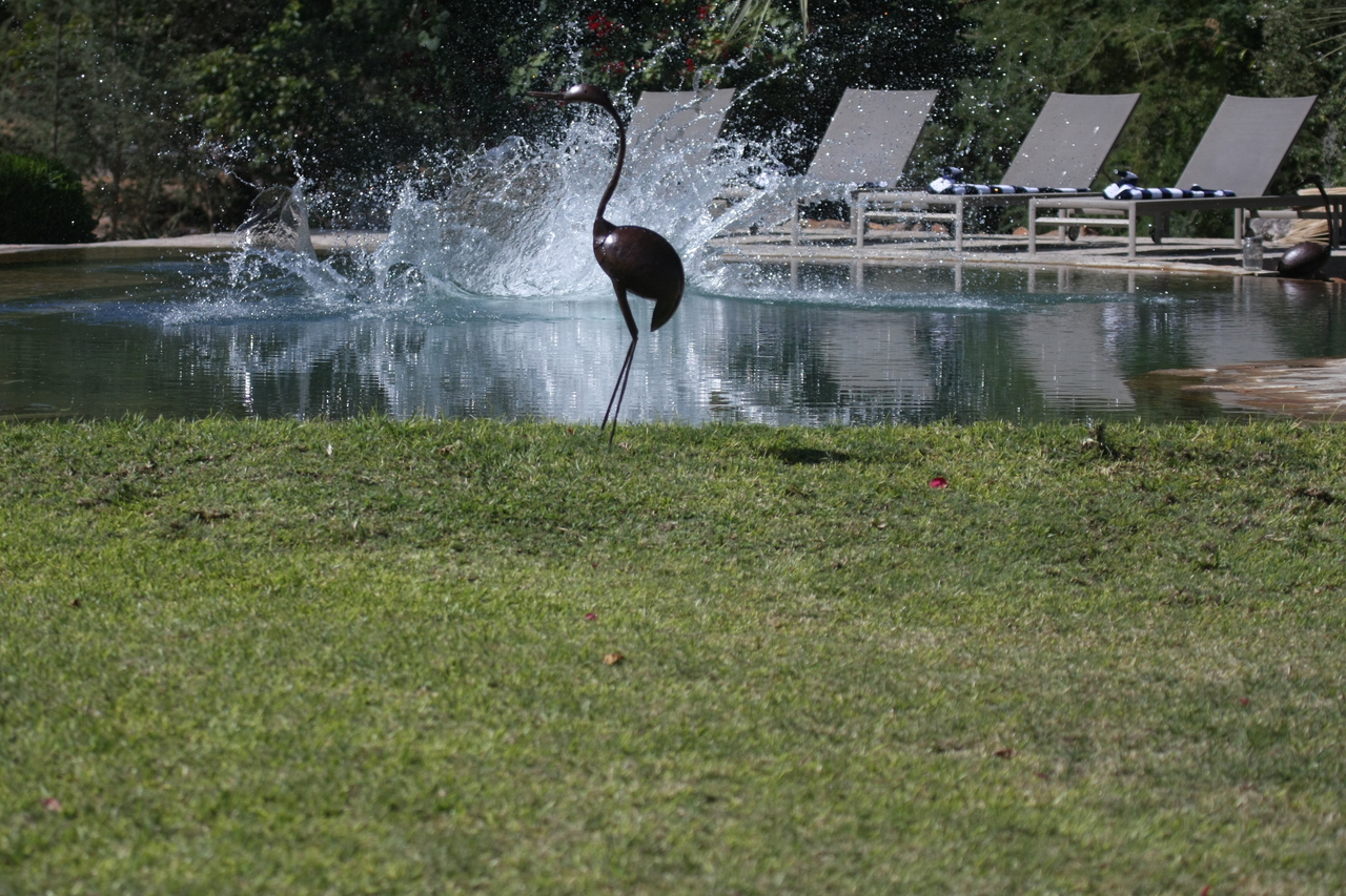 [32992] 2016_07_04_07_06_53_Africa_Canon_EOS_40D_IMG__06014.jpg