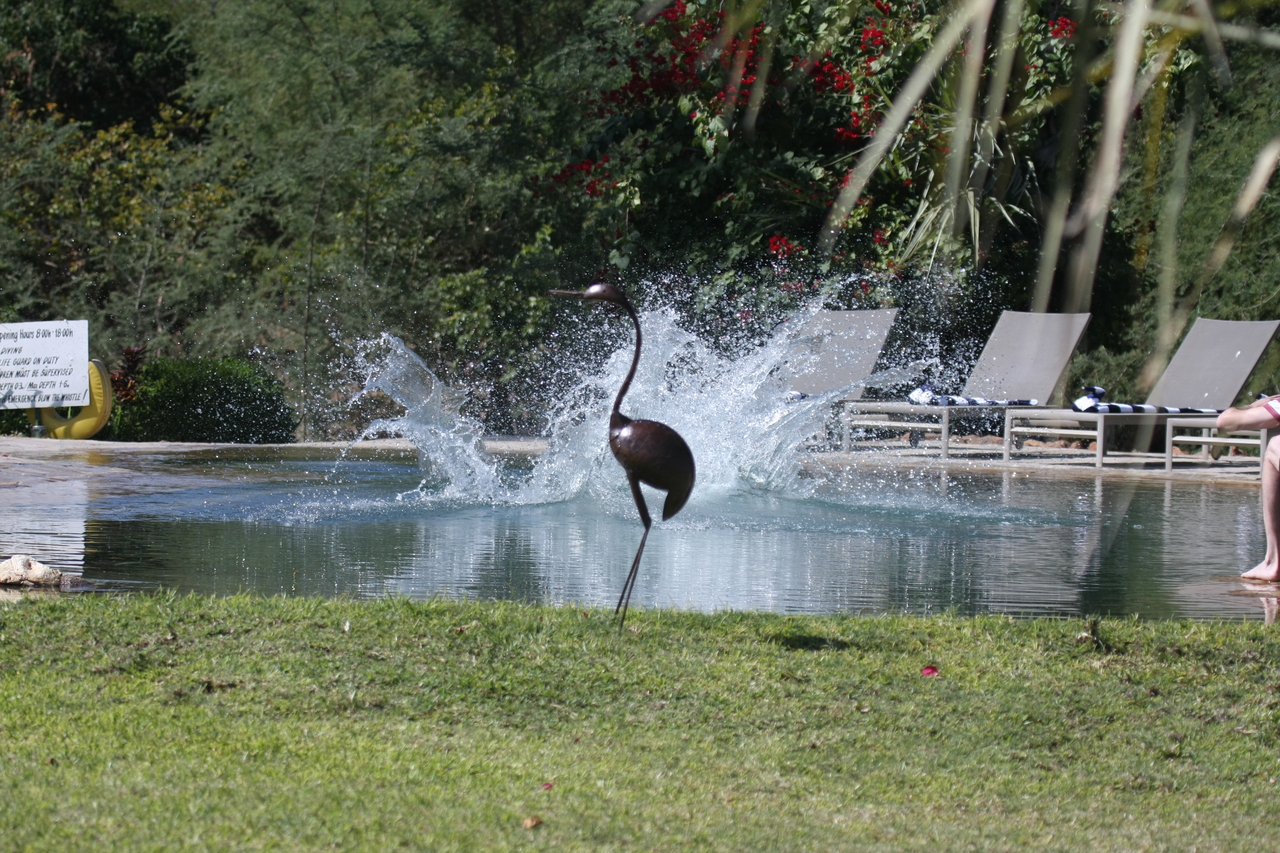 [33041] 2016_07_04_07_07_55_Africa_Canon_EOS_40D_IMG__00397.jpg