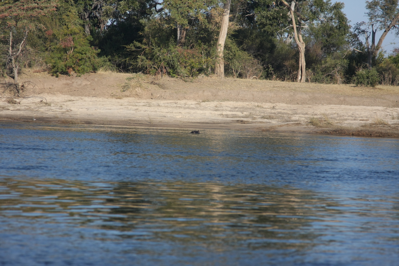 [33275] 2016_07_04_10_16_42_Africa_Canon_EOS_40D_IMG__00022.jpg