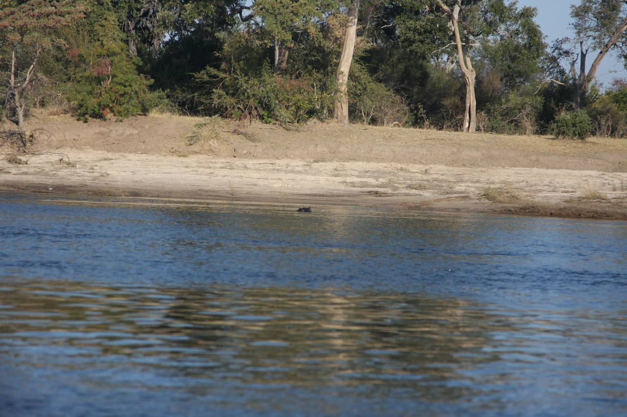 [33278] 2016_07_04_10_16_42_Africa_Canon_EOS_40D_IMG__05658.jpg