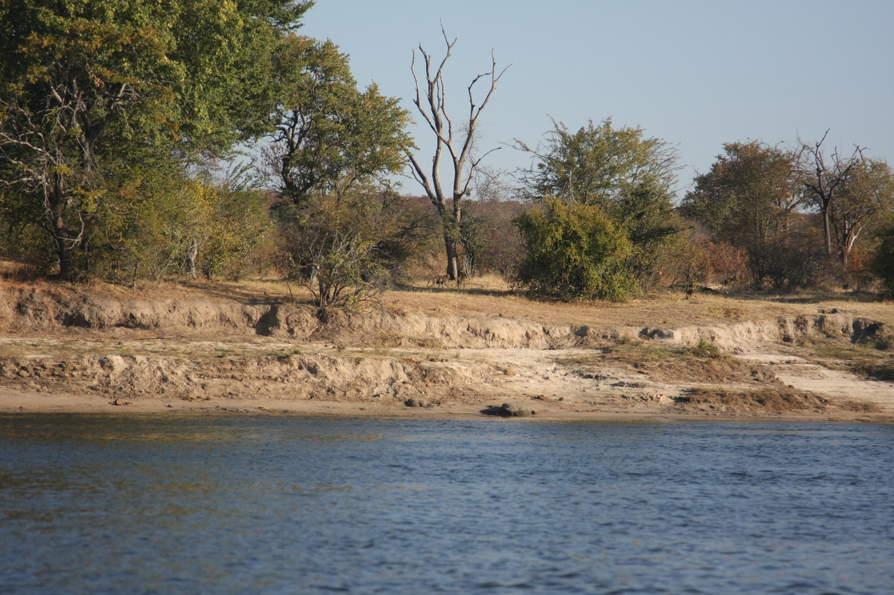 [33283] 2016_07_04_10_26_28_Africa_Canon_EOS_40D_IMG__05659.jpg