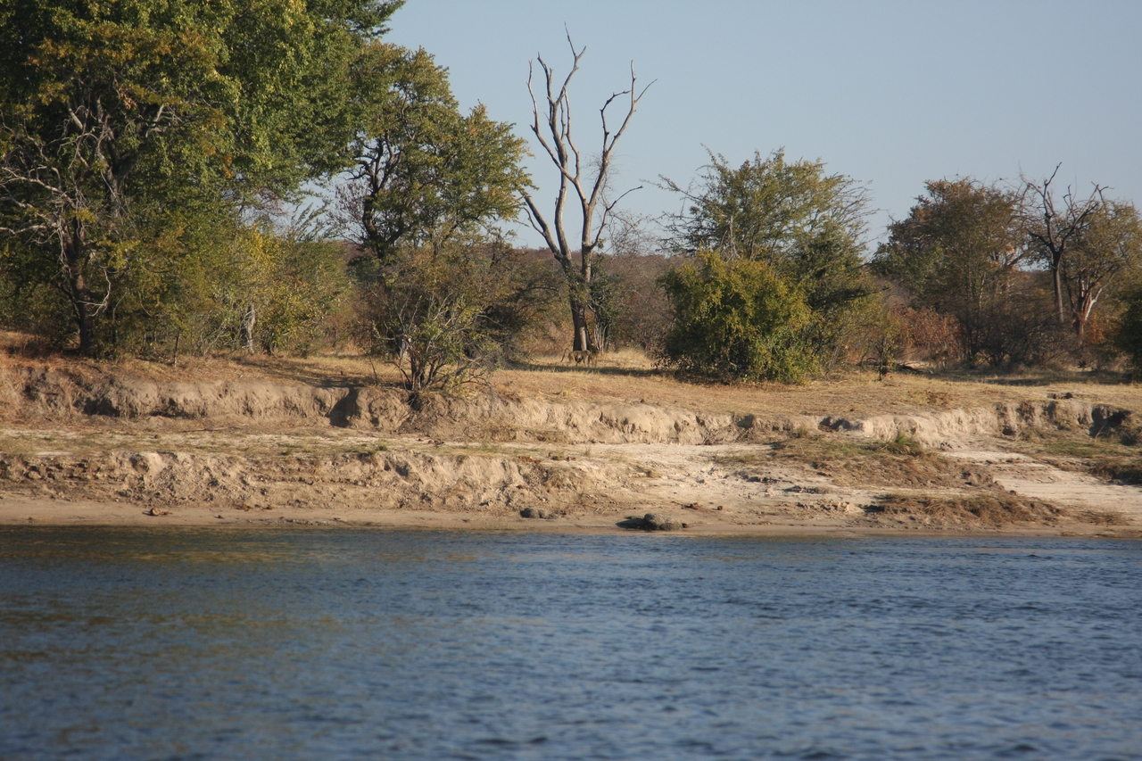 [33286] 2016_07_04_10_26_28_Africa_Canon_EOS_40D_IMG__13108.jpg