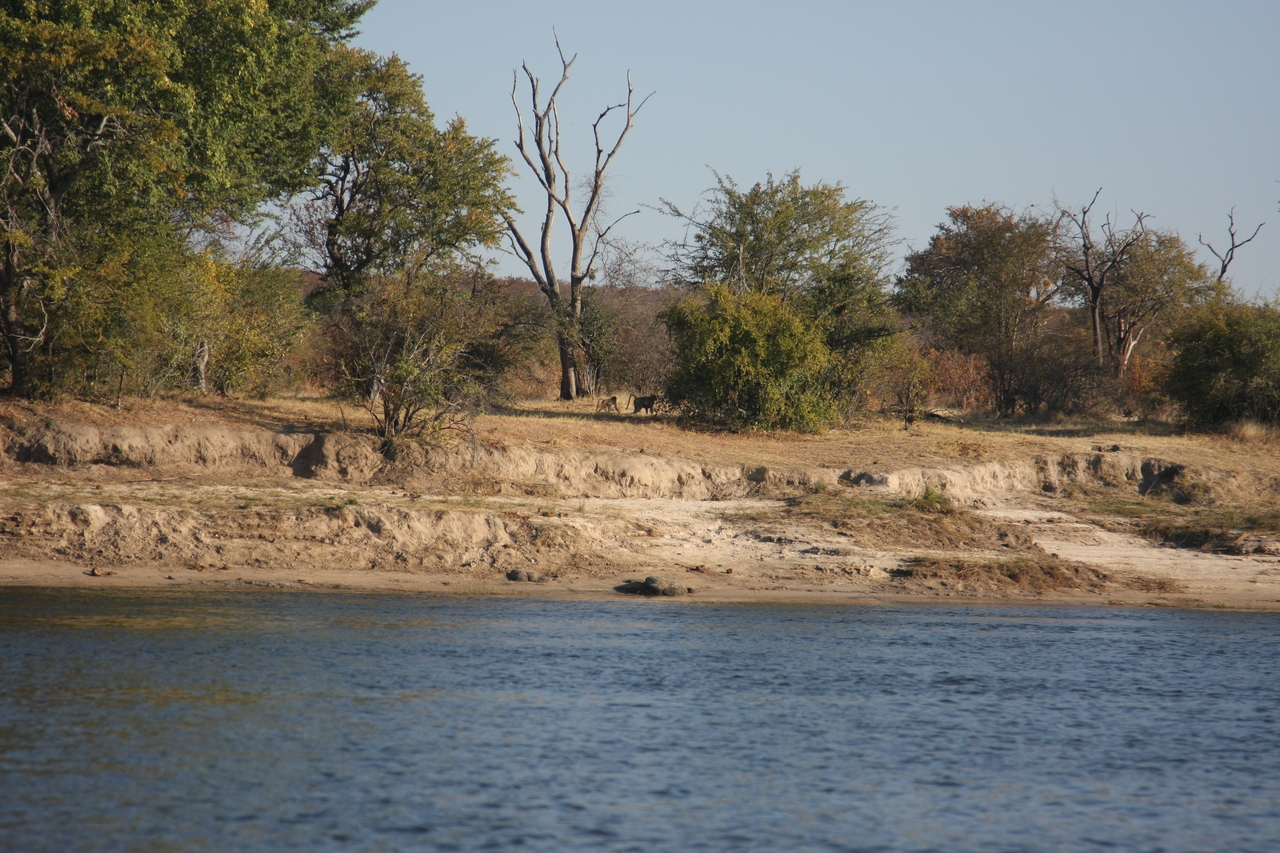 [33289] 2016_07_04_10_26_30_Africa_Canon_EOS_40D_IMG__05662.jpg