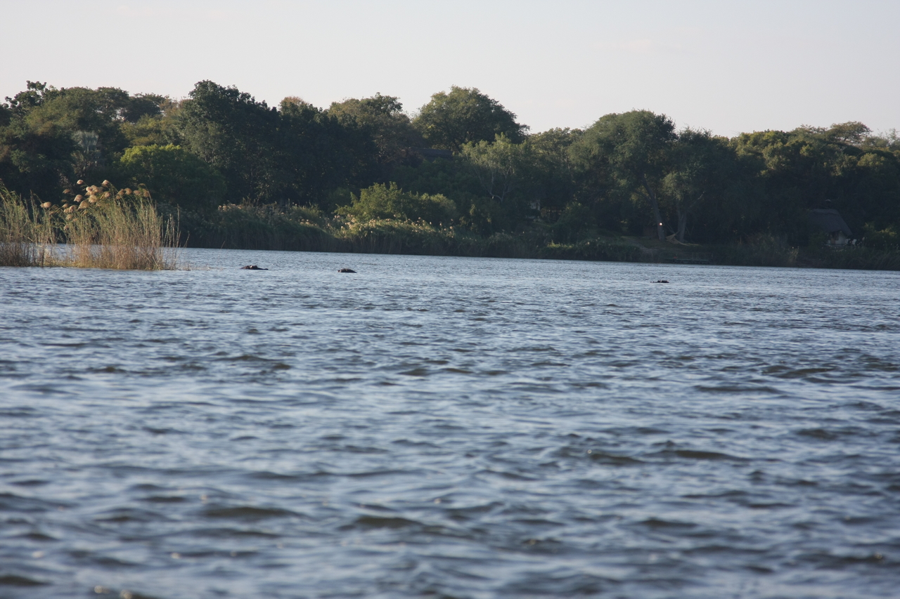 [33302] 2016_07_04_10_29_00_Africa_Canon_EOS_40D_IMG__00032.jpg