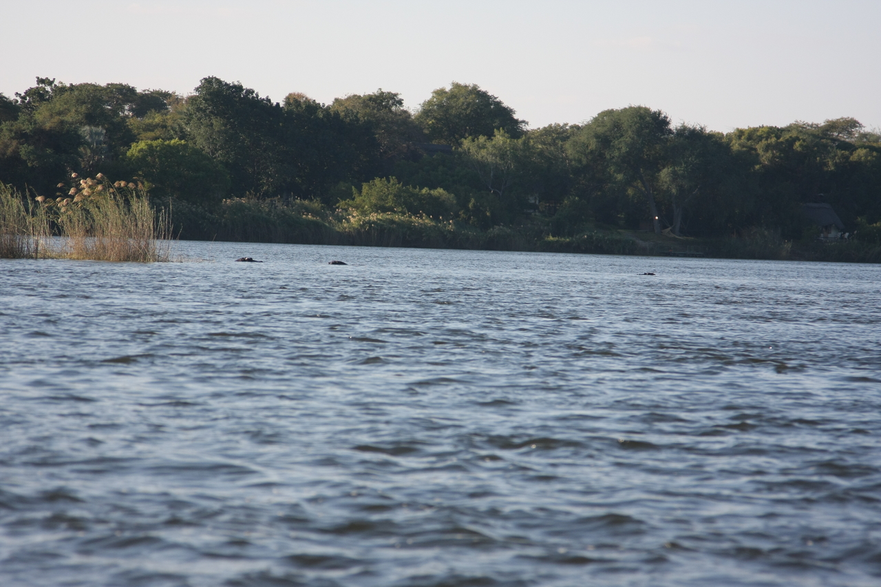 [33303] 2016_07_04_10_29_00_Africa_Canon_EOS_40D_IMG__00033.jpg