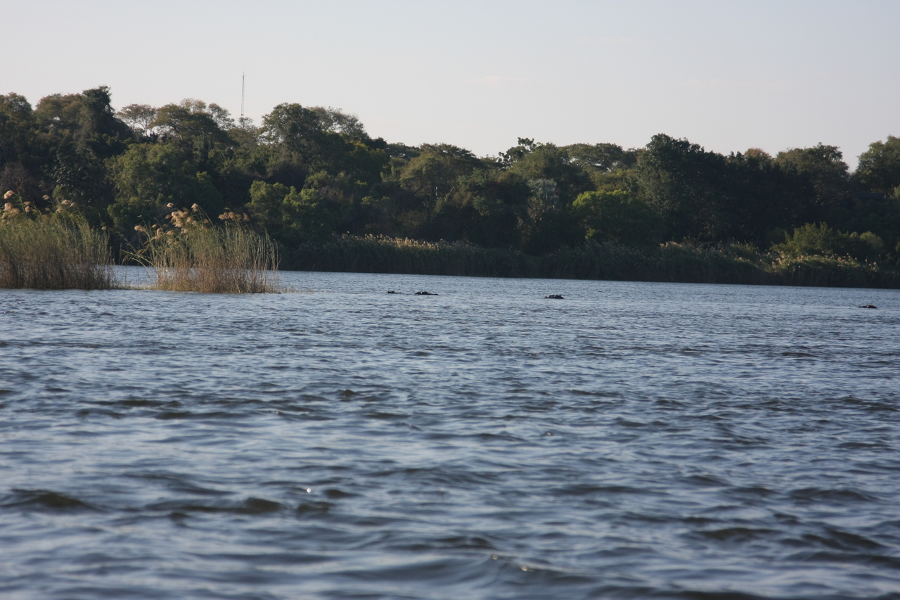 [33309] 2016_07_04_10_29_10_Africa_Canon_EOS_40D_IMG__00035.jpg