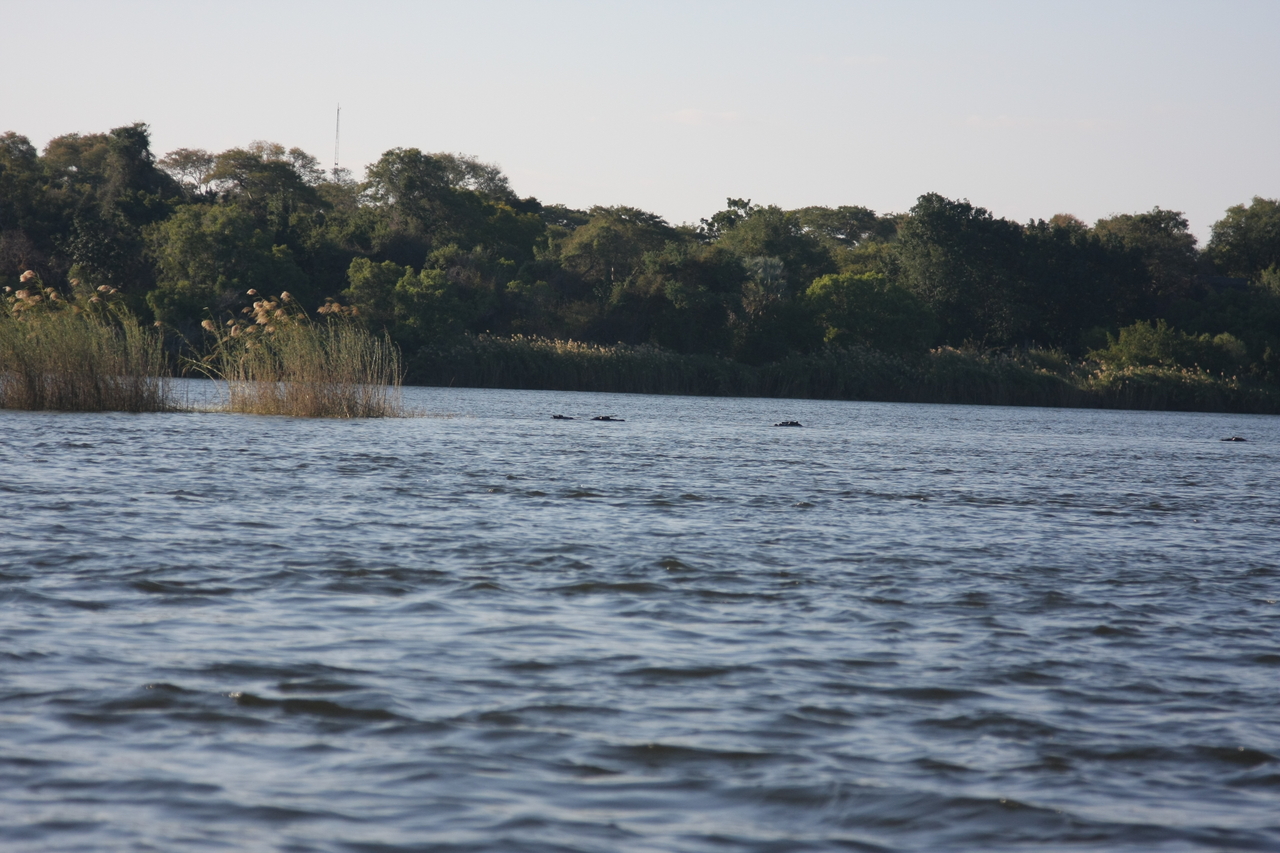 [33312] 2016_07_04_10_29_10_Africa_Canon_EOS_40D_IMG__13116.jpg