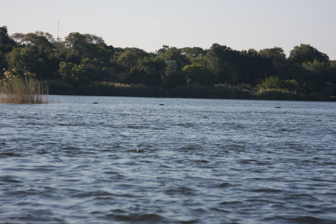 [33318] 2016_07_04_10_29_12_Africa_Canon_EOS_40D_IMG__13119.jpg