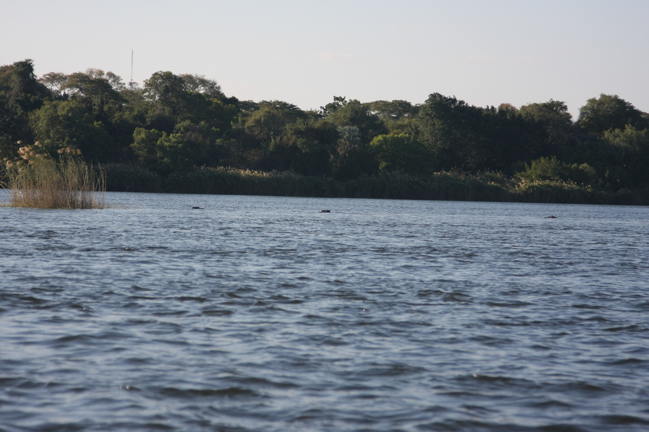 [33319] 2016_07_04_10_29_12_Africa_Canon_EOS_40D_IMG__13120.jpg