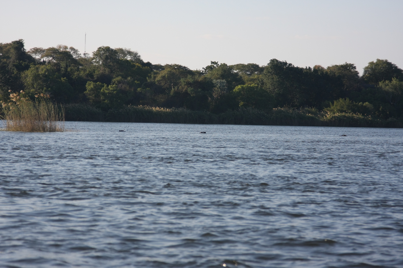 [33322] 2016_07_04_10_29_13_Africa_Canon_EOS_40D_IMG__13121.jpg