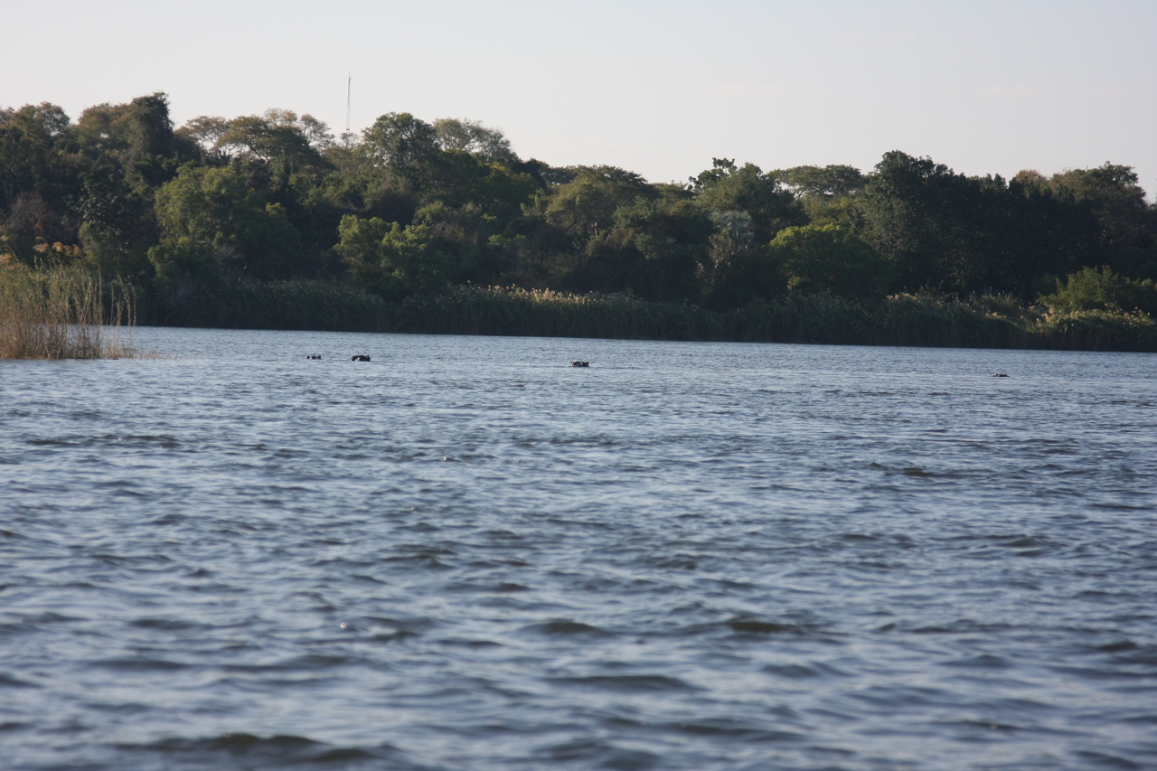 [33326] 2016_07_04_10_29_17_Africa_Canon_EOS_40D_IMG__05676.jpg