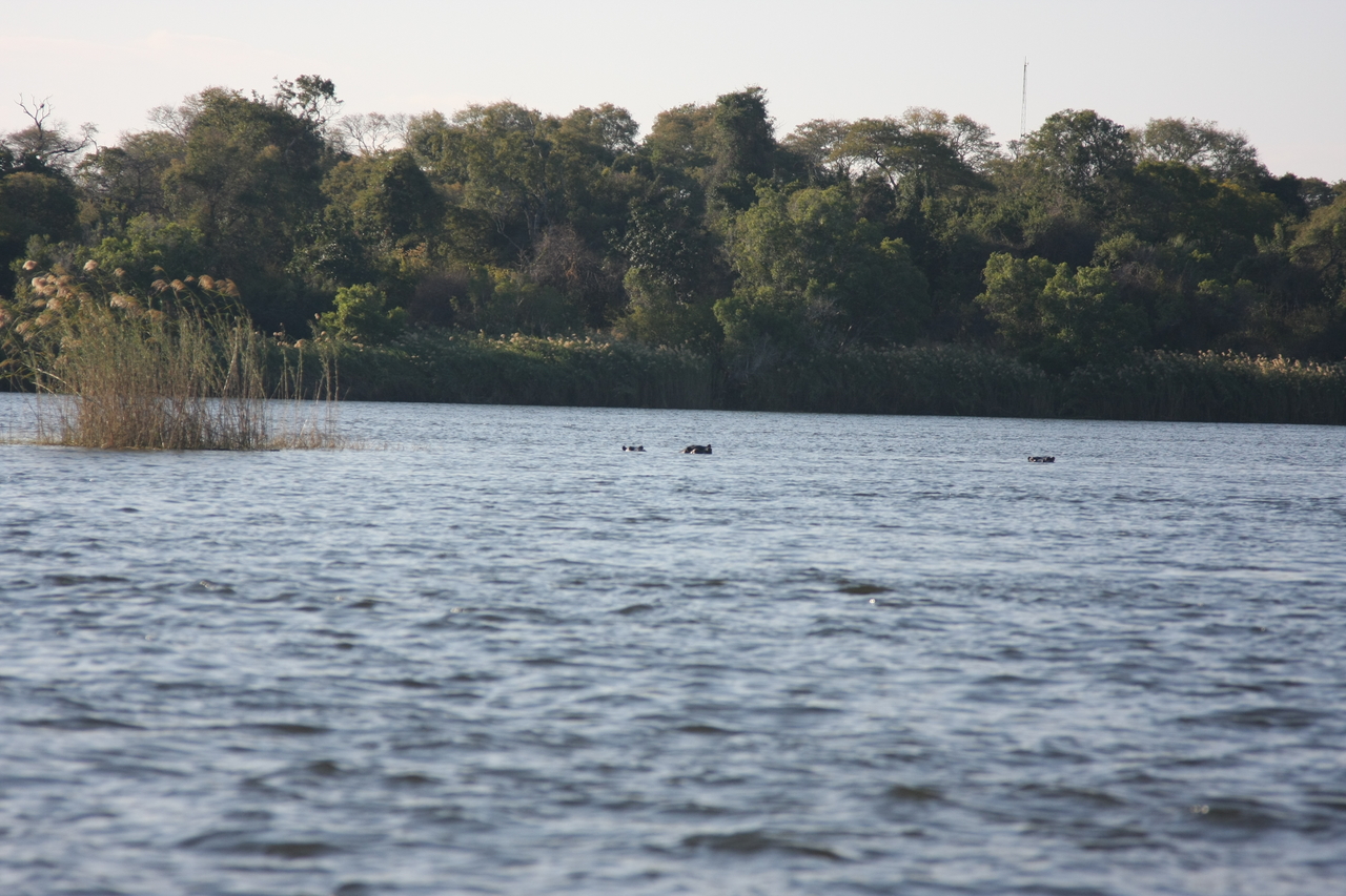 [33329] 2016_07_04_10_29_25_Africa_Canon_EOS_40D_IMG__00042.jpg