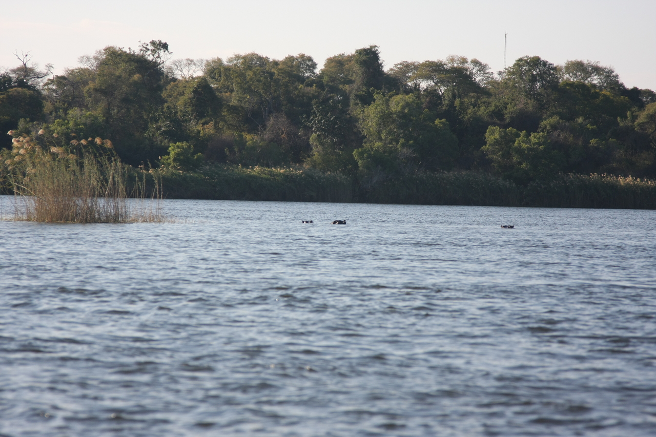 [33334] 2016_07_04_10_29_25_Africa_Canon_EOS_40D_IMG__13125.jpg