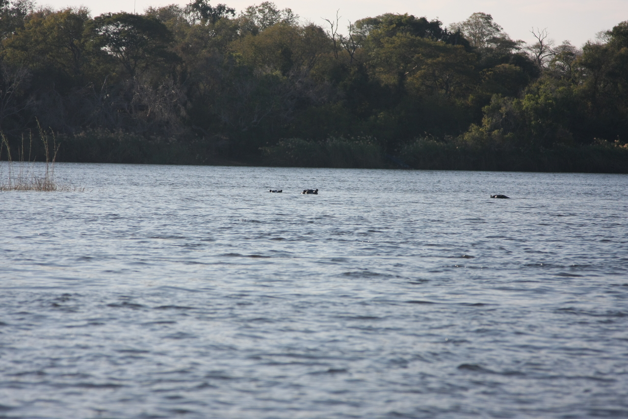 [33335] 2016_07_04_10_29_48_Africa_Canon_EOS_40D_IMG__00044.jpg