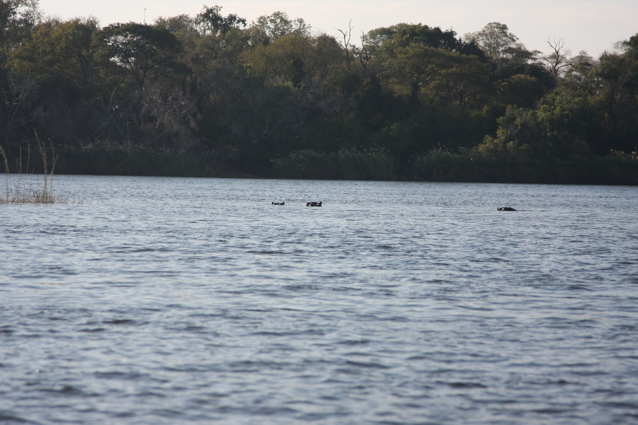 [33336] 2016_07_04_10_29_48_Africa_Canon_EOS_40D_IMG__00045.jpg