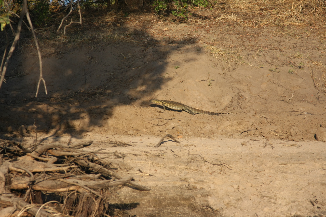 [33356] 2016_07_04_11_07_58_Africa_Canon_EOS_40D_IMG__00052.jpg