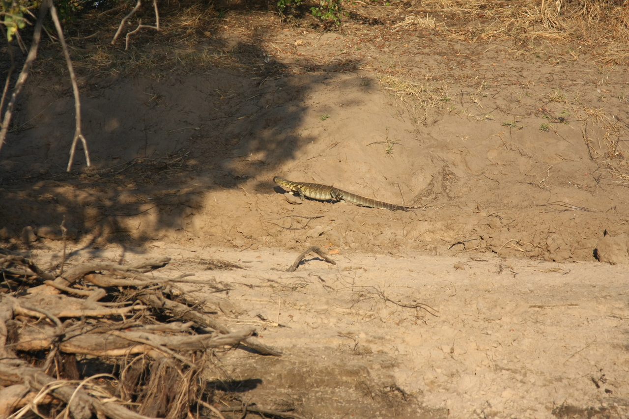 [33361] 2016_07_04_11_07_58_Africa_Canon_EOS_40D_IMG__05689.jpg