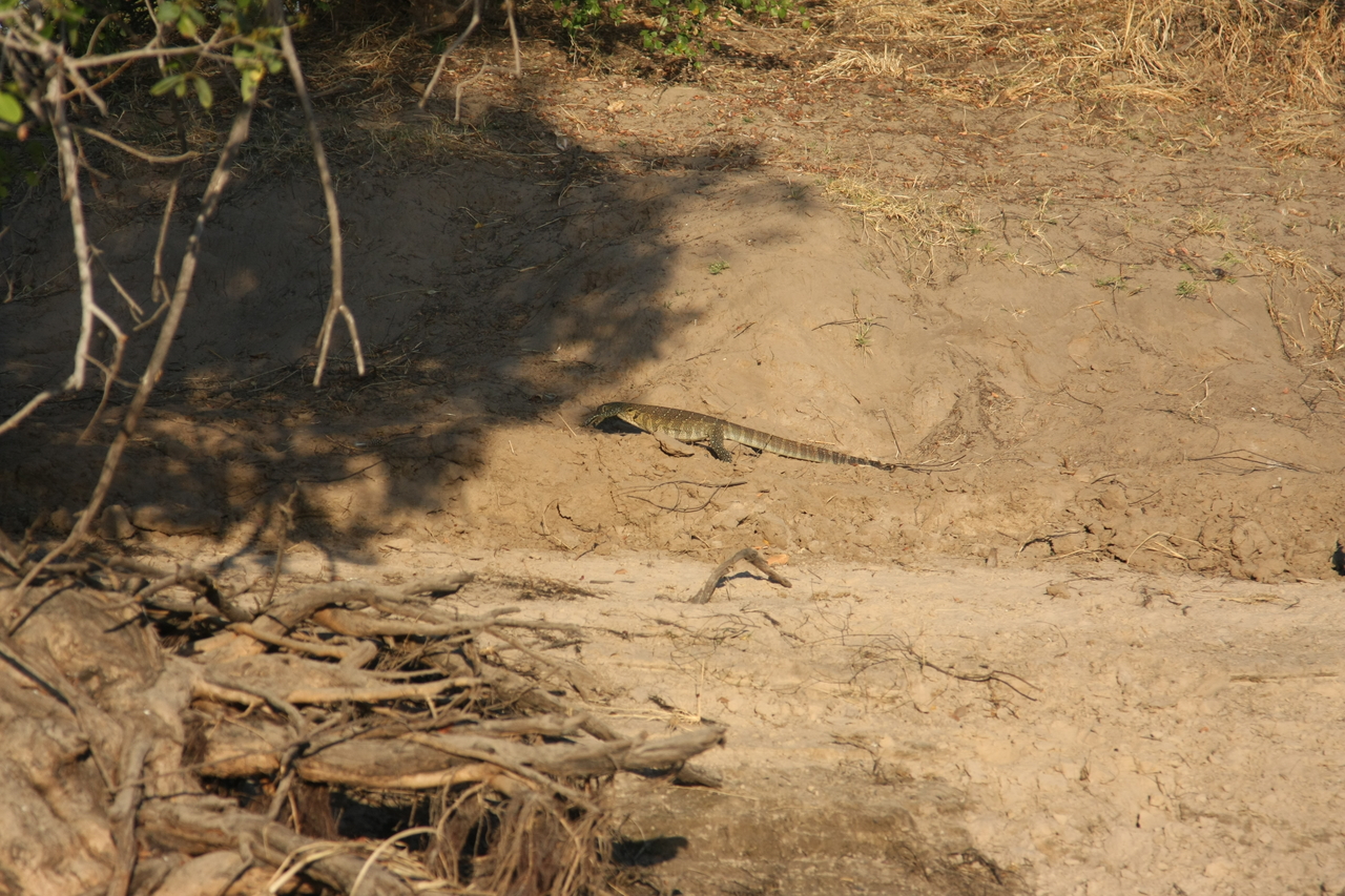 [33375] 2016_07_04_11_08_01_Africa_Canon_EOS_40D_IMG__13139.jpg