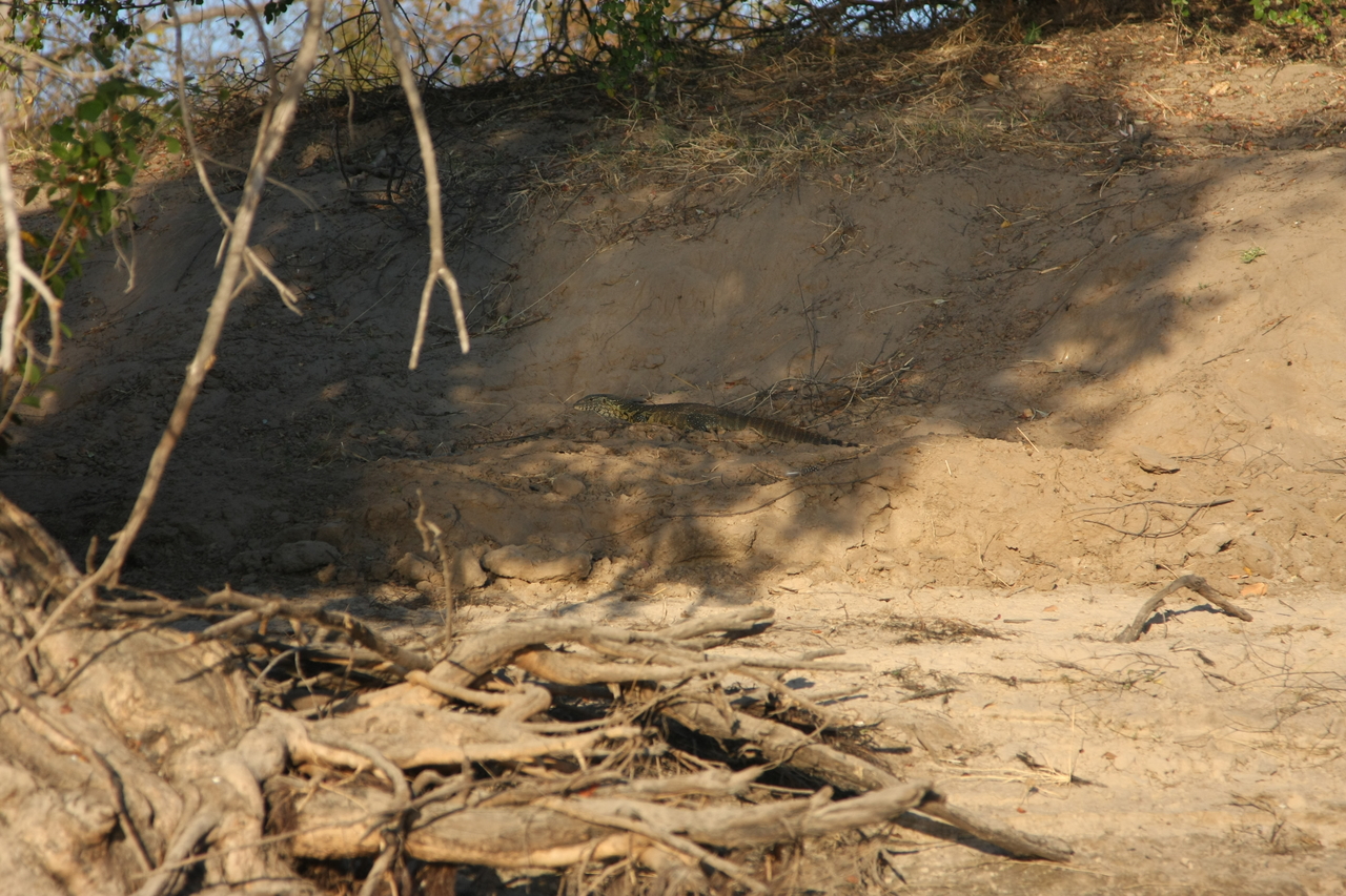 [33380] 2016_07_04_11_09_27_Africa_Canon_EOS_40D_IMG__05695.jpg