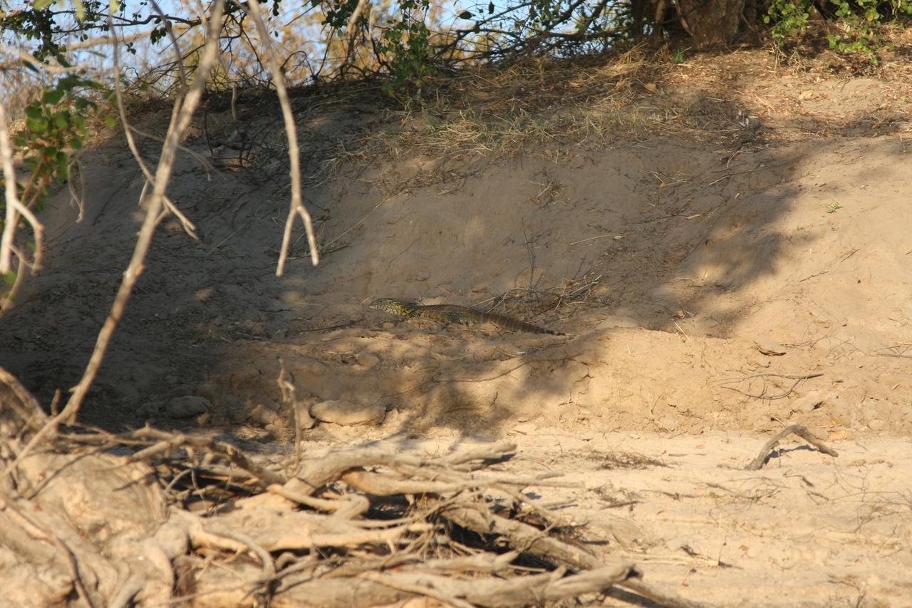 [33382] 2016_07_04_11_09_27_Africa_Canon_EOS_40D_IMG__05697.jpg