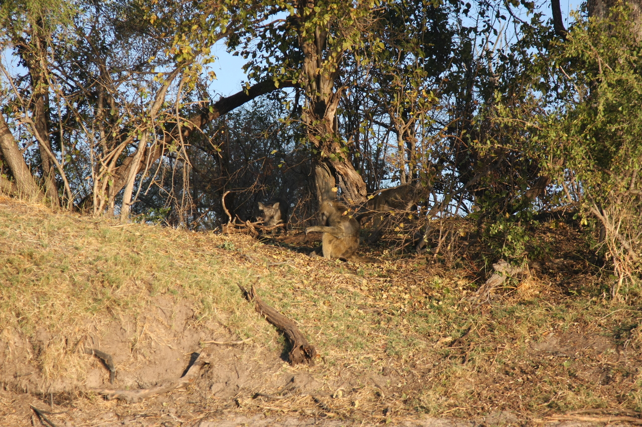 [33427] 2016_07_04_11_14_28_Africa_Canon_EOS_40D_IMG__13159.jpg