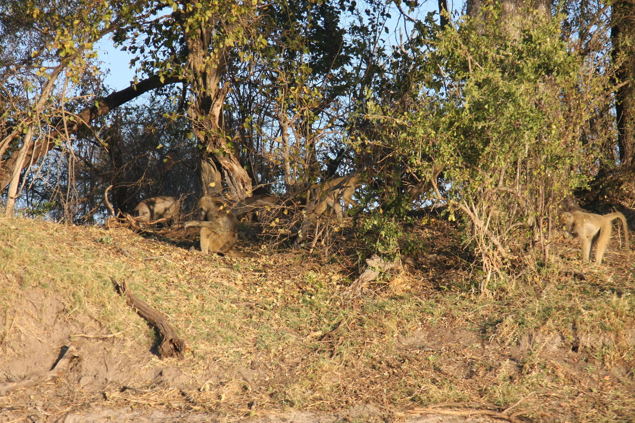 [33431] 2016_07_04_11_14_30_Africa_Canon_EOS_40D_IMG__05714.jpg