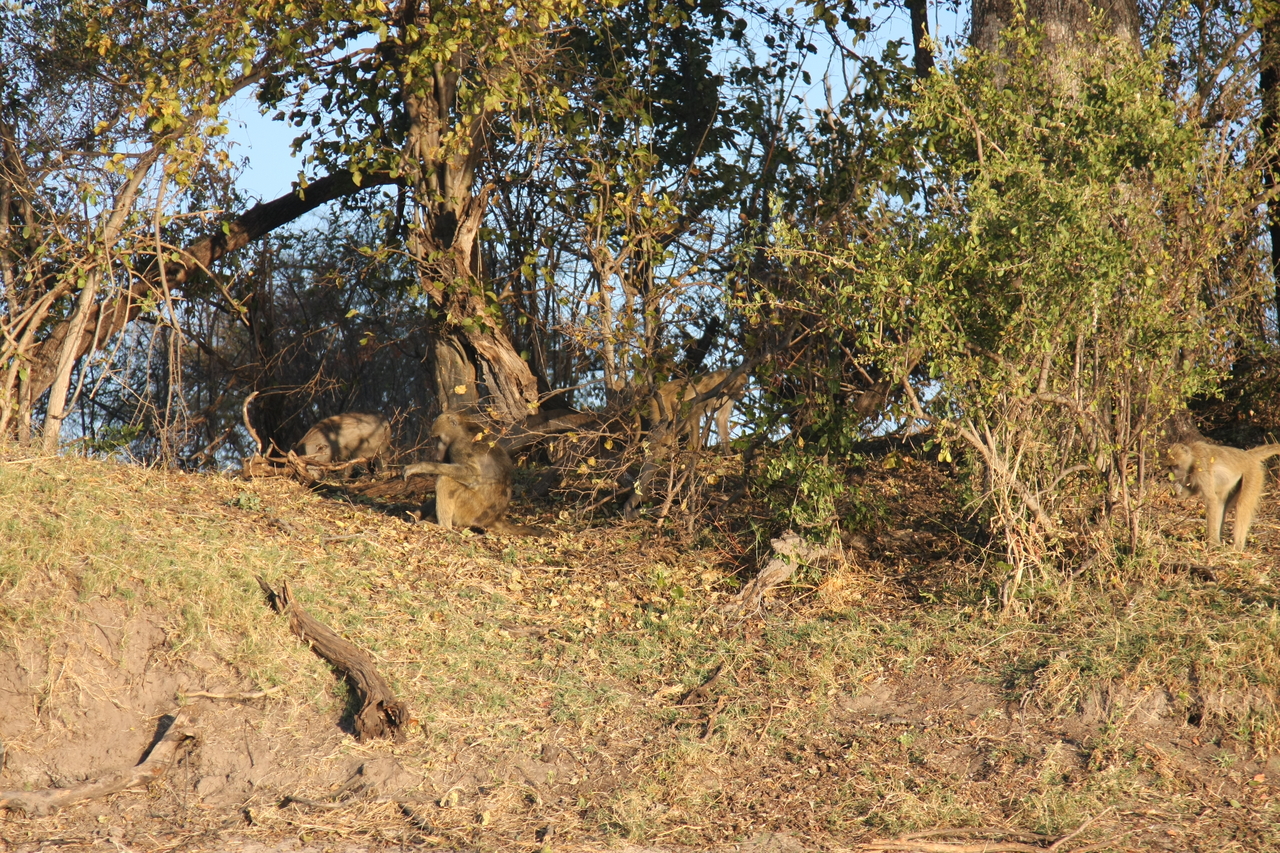 [33432] 2016_07_04_11_14_30_Africa_Canon_EOS_40D_IMG__13160.jpg