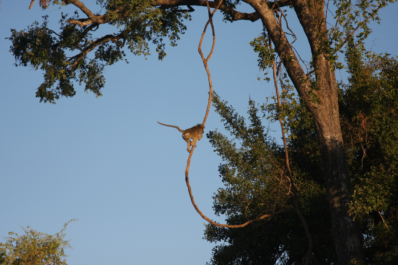 [33558] 2016_07_04_11_16_13_Africa_Canon_EOS_40D_IMG__05762.jpg