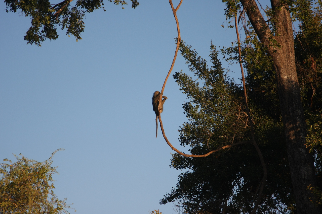 [33565] 2016_07_04_11_16_17_Africa_Canon_EOS_40D_IMG__05765.jpg