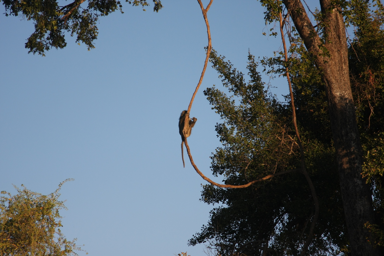 [33567] 2016_07_04_11_16_17_Africa_Canon_EOS_40D_IMG__13211.jpg