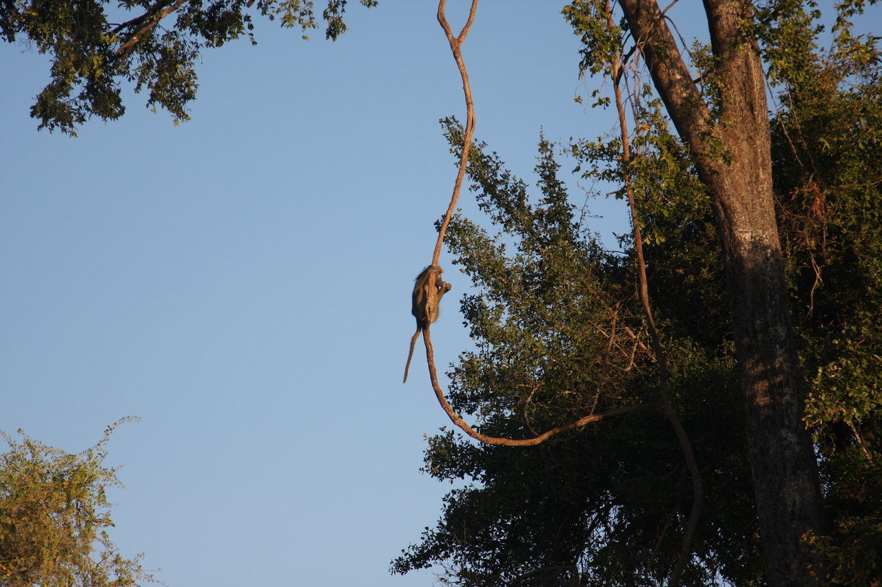 [33579] 2016_07_04_11_16_20_Africa_Canon_EOS_40D_IMG__05769.jpg