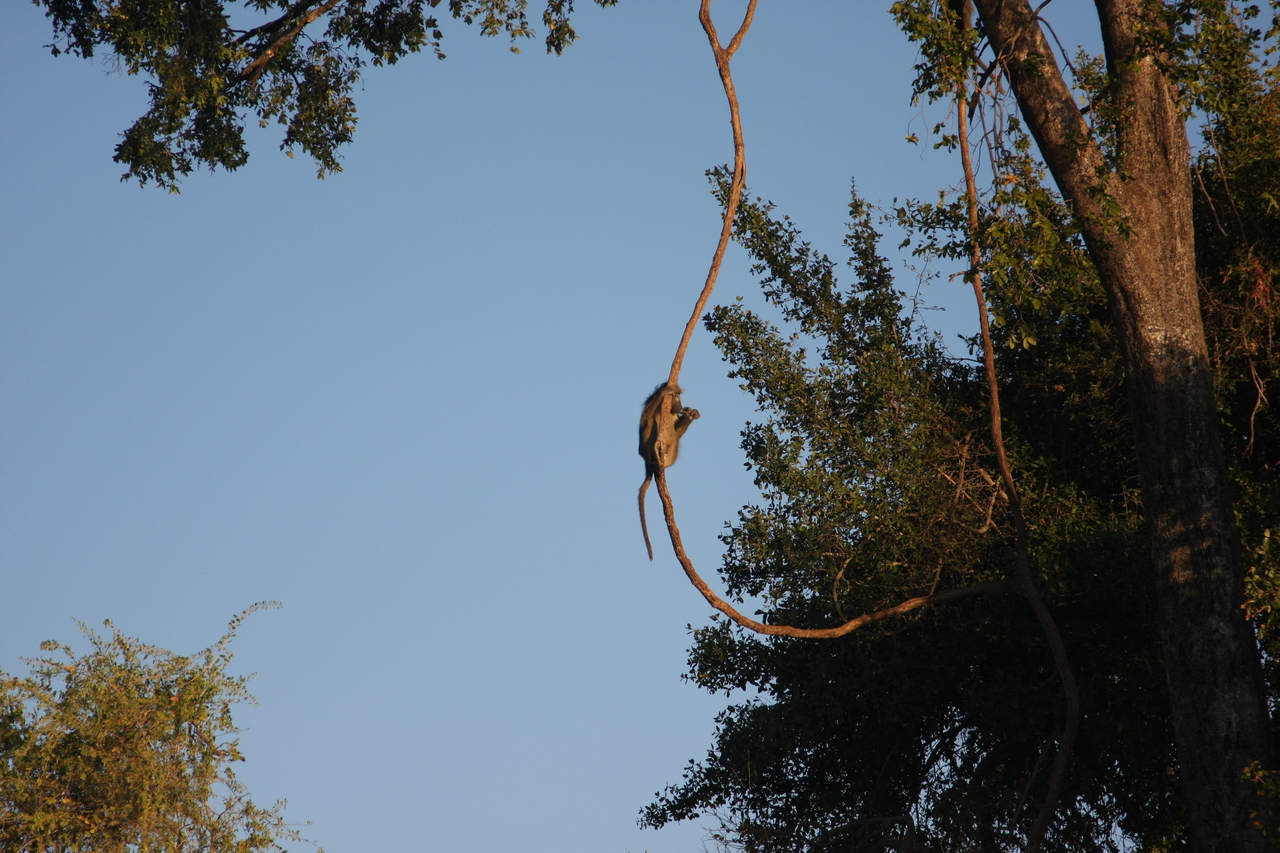 [33584] 2016_07_04_11_16_21_Africa_Canon_EOS_40D_IMG__00137.jpg