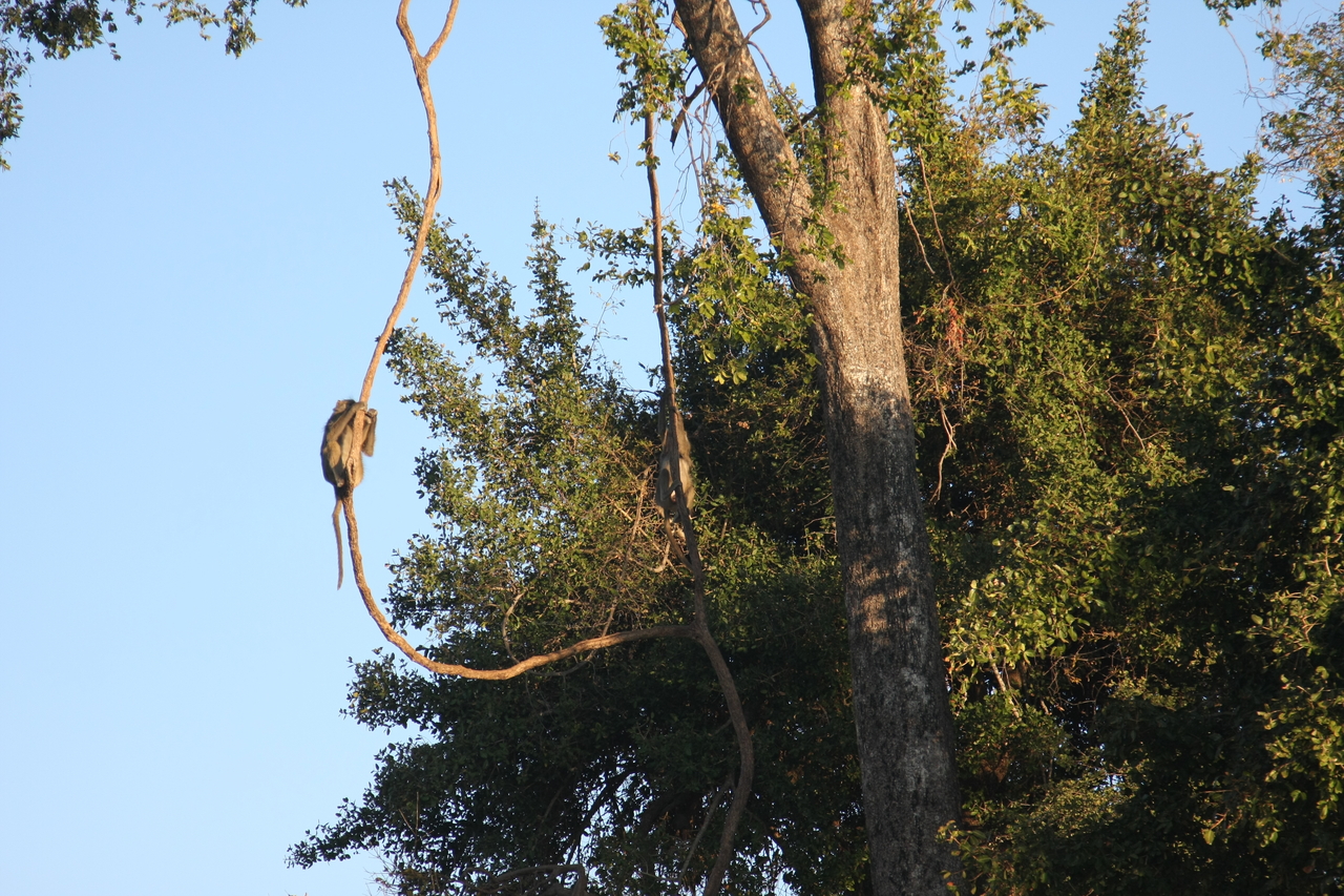 [33601] 2016_07_04_11_16_24_Africa_Canon_EOS_40D_IMG__13224.jpg