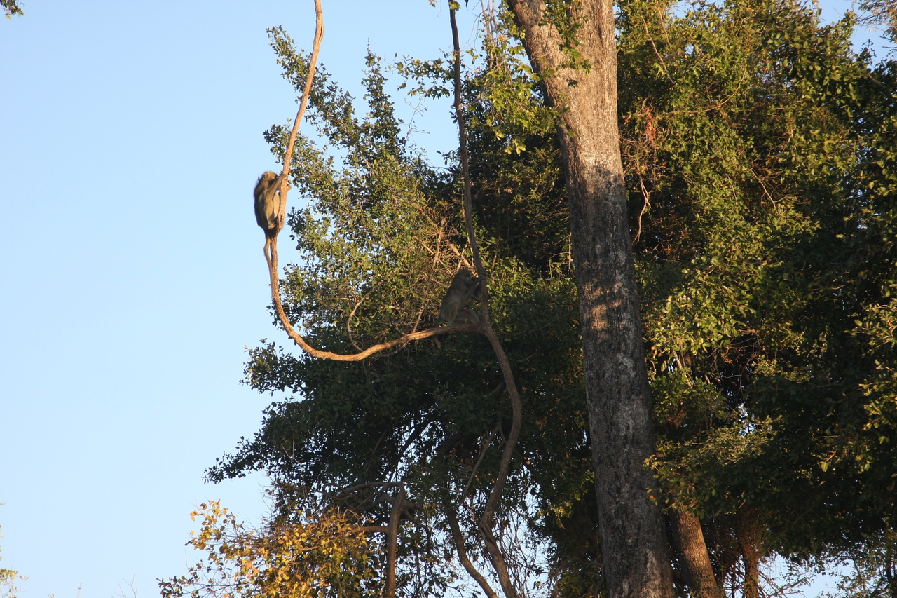 [33602] 2016_07_04_11_16_26_Africa_Canon_EOS_40D_IMG__00143.jpg