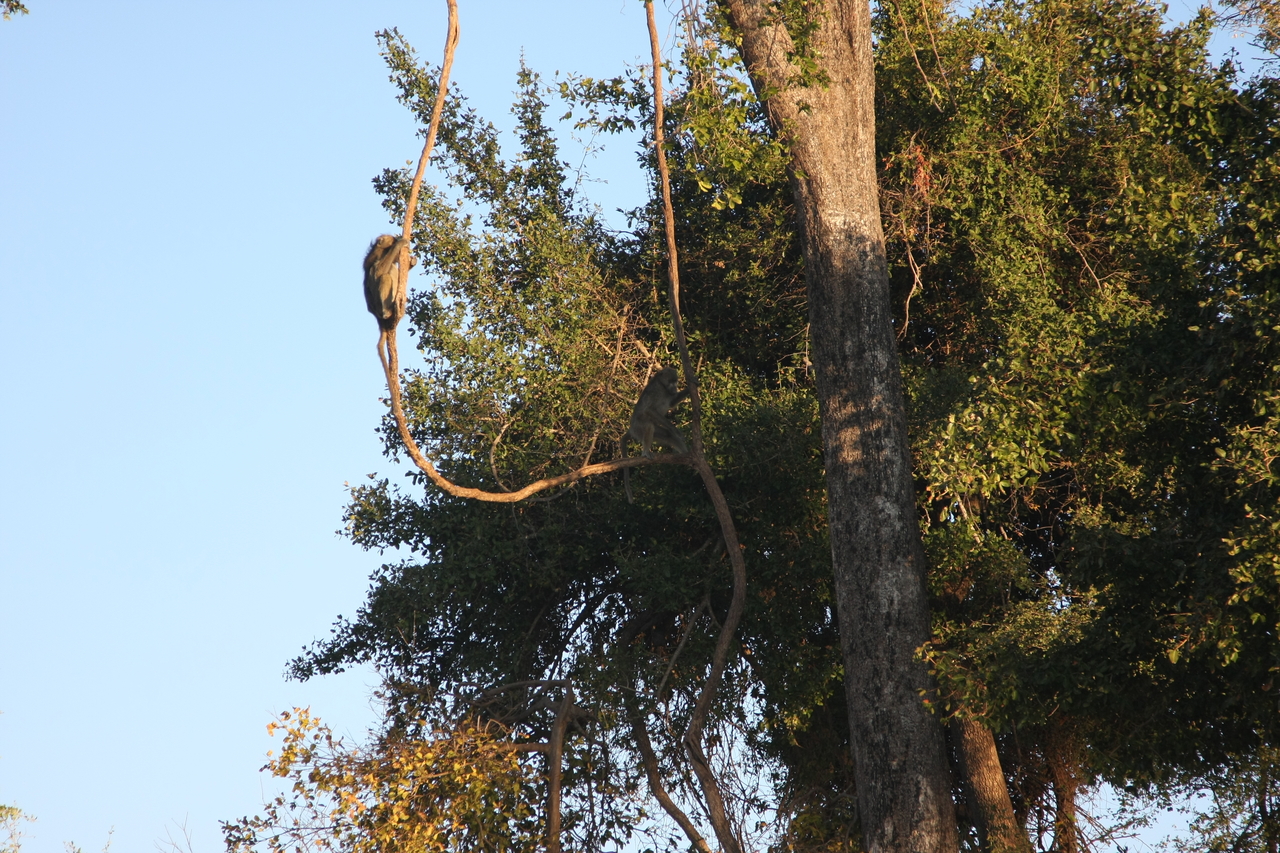 [33606] 2016_07_04_11_16_27_Africa_Canon_EOS_40D_IMG__05779.jpg