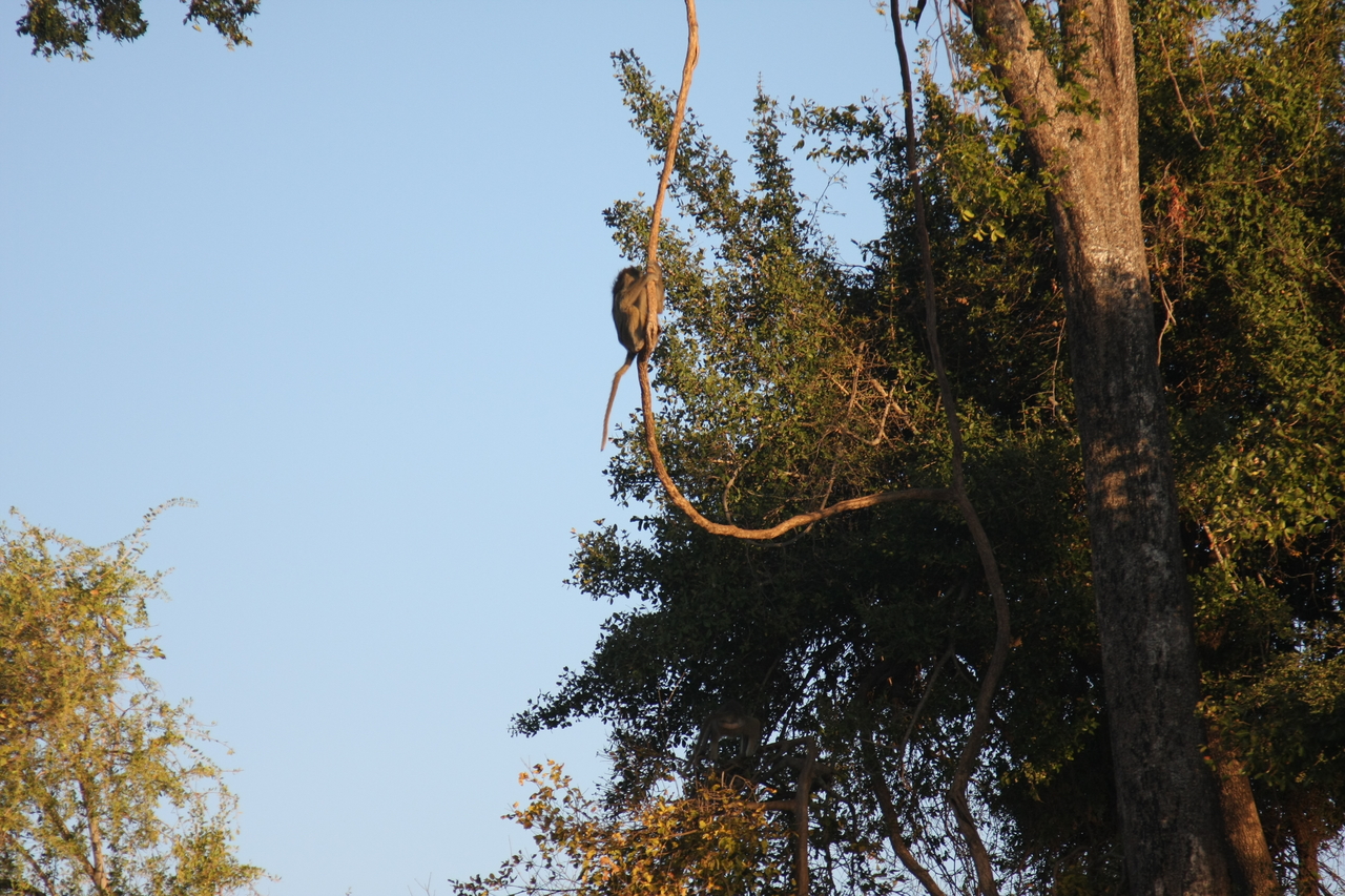 [33615] 2016_07_04_11_16_32_Africa_Canon_EOS_40D_IMG__13228.jpg