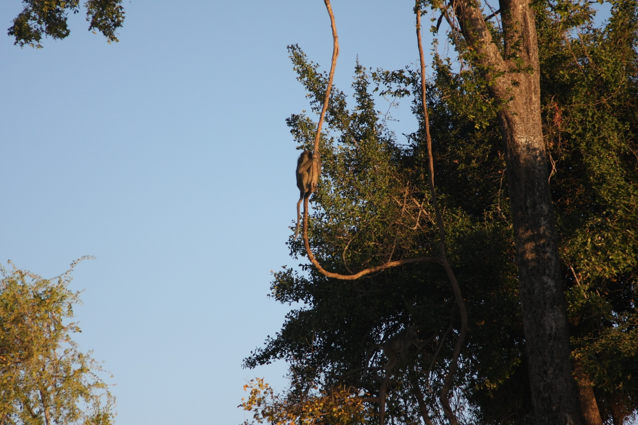 [33618] 2016_07_04_11_16_33_Africa_Canon_EOS_40D_IMG__00150.jpg