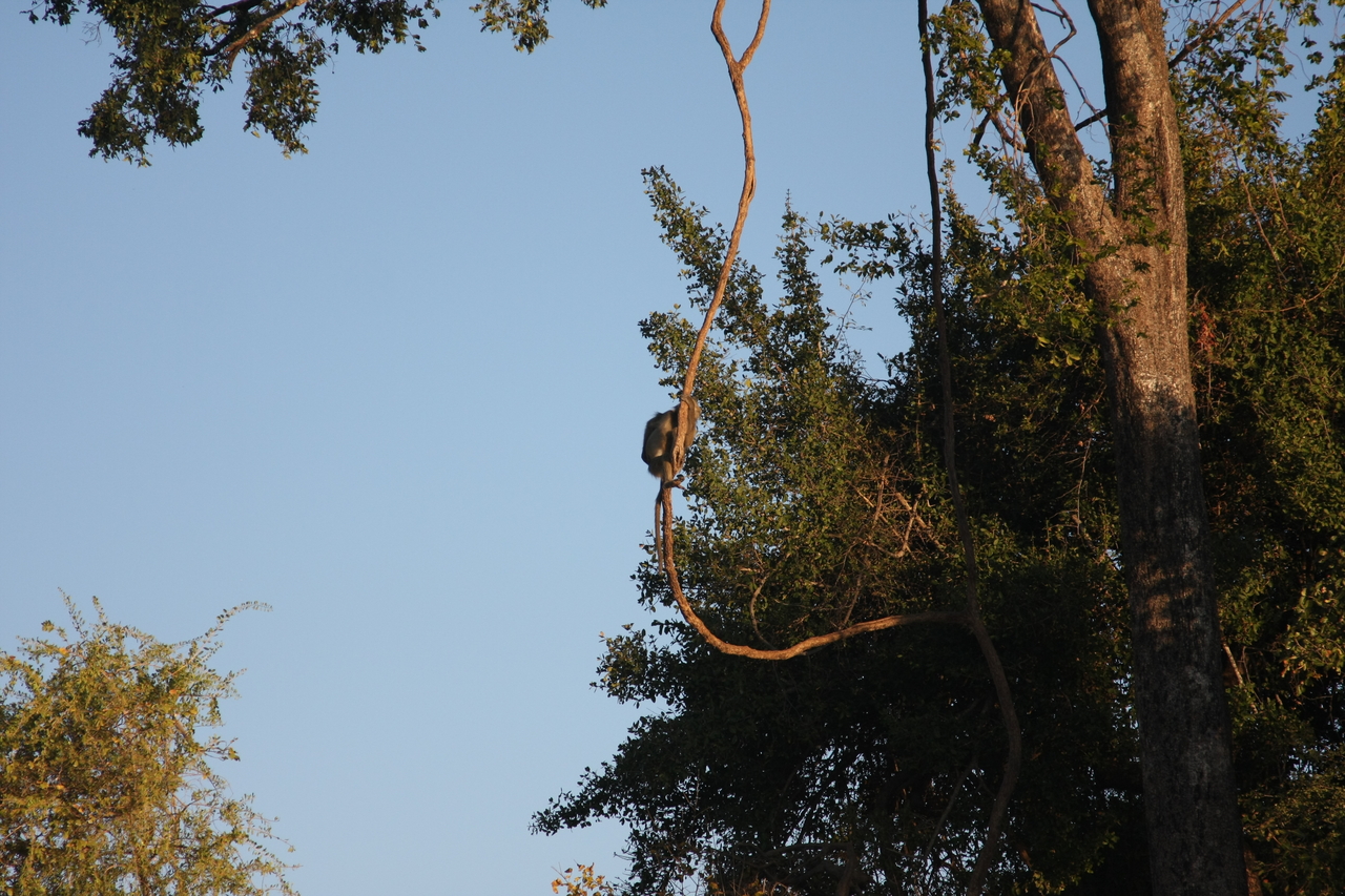 [33628] 2016_07_04_11_16_38_Africa_Canon_EOS_40D_IMG__05788.jpg