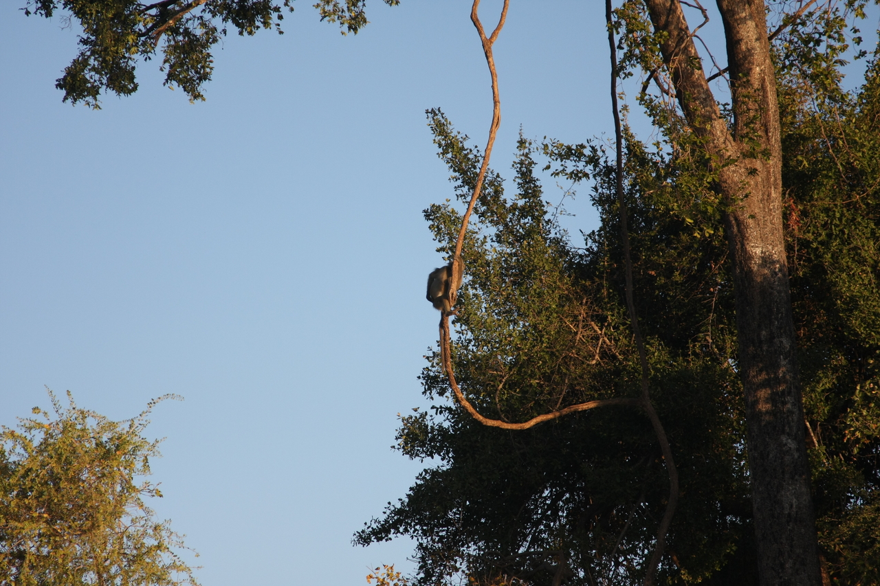 [33635] 2016_07_04_11_16_39_Africa_Canon_EOS_40D_IMG__05789.jpg