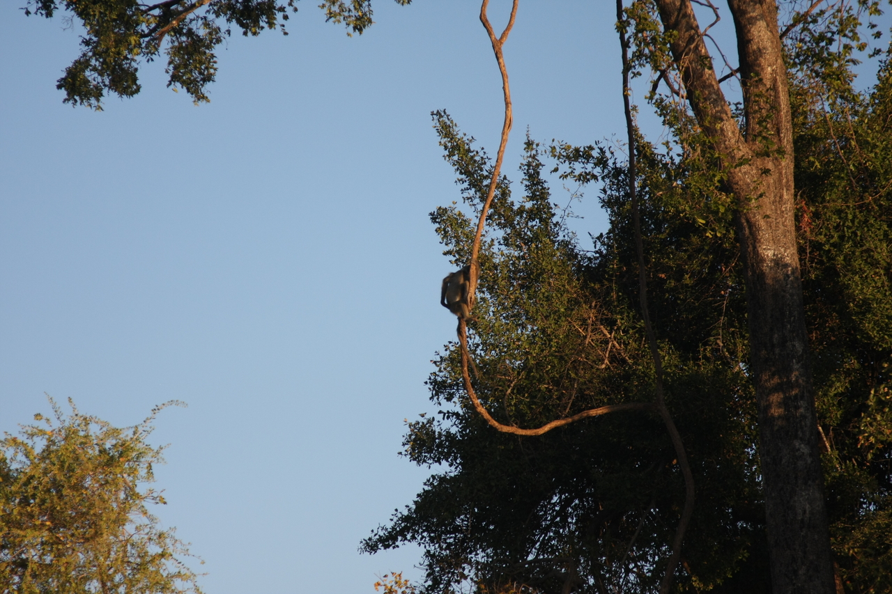 [33639] 2016_07_04_11_16_39_Africa_Canon_EOS_40D_IMG__13237.jpg