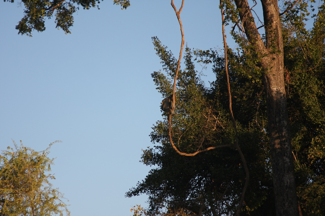 [33643] 2016_07_04_11_16_40_Africa_Canon_EOS_40D_IMG__13239.jpg