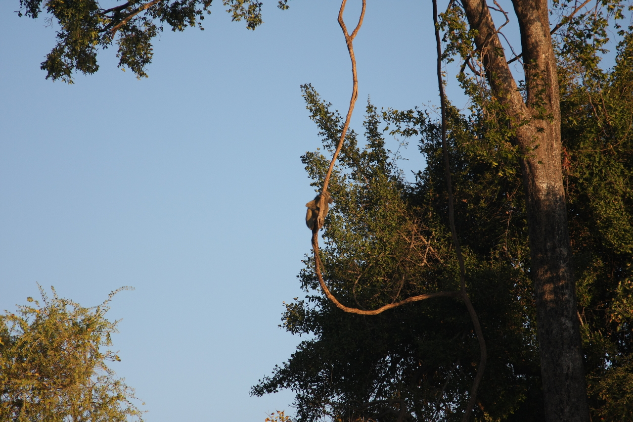 [33646] 2016_07_04_11_16_41_Africa_Canon_EOS_40D_IMG__13241.jpg