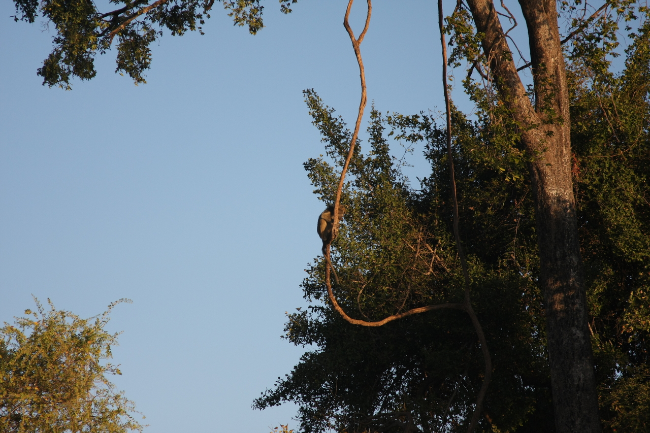 [33654] 2016_07_04_11_16_42_Africa_Canon_EOS_40D_IMG__13243.jpg