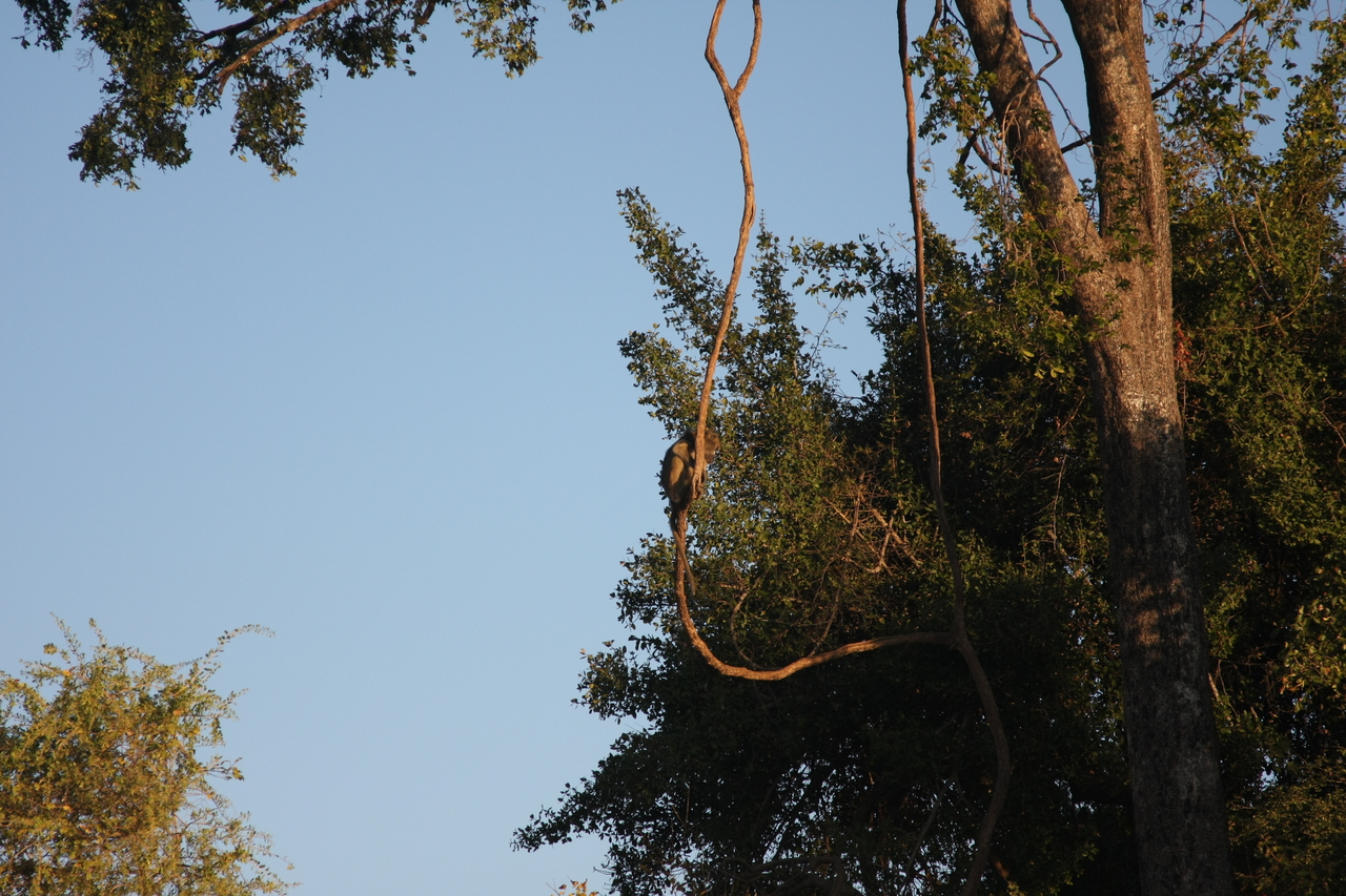 [33655] 2016_07_04_11_16_42_Africa_Canon_EOS_40D_IMG__13244.jpg