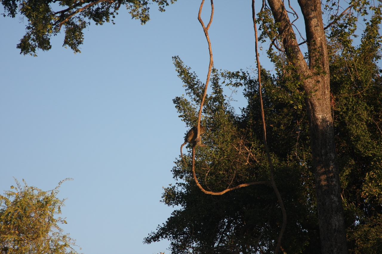 [33659] 2016_07_04_11_16_43_Africa_Canon_EOS_40D_IMG__05798.jpg