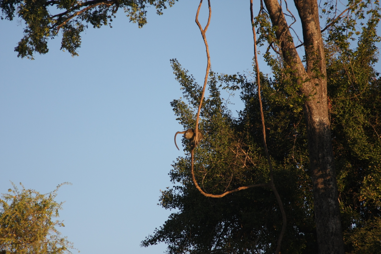 [33660] 2016_07_04_11_16_43_Africa_Canon_EOS_40D_IMG__05799.jpg