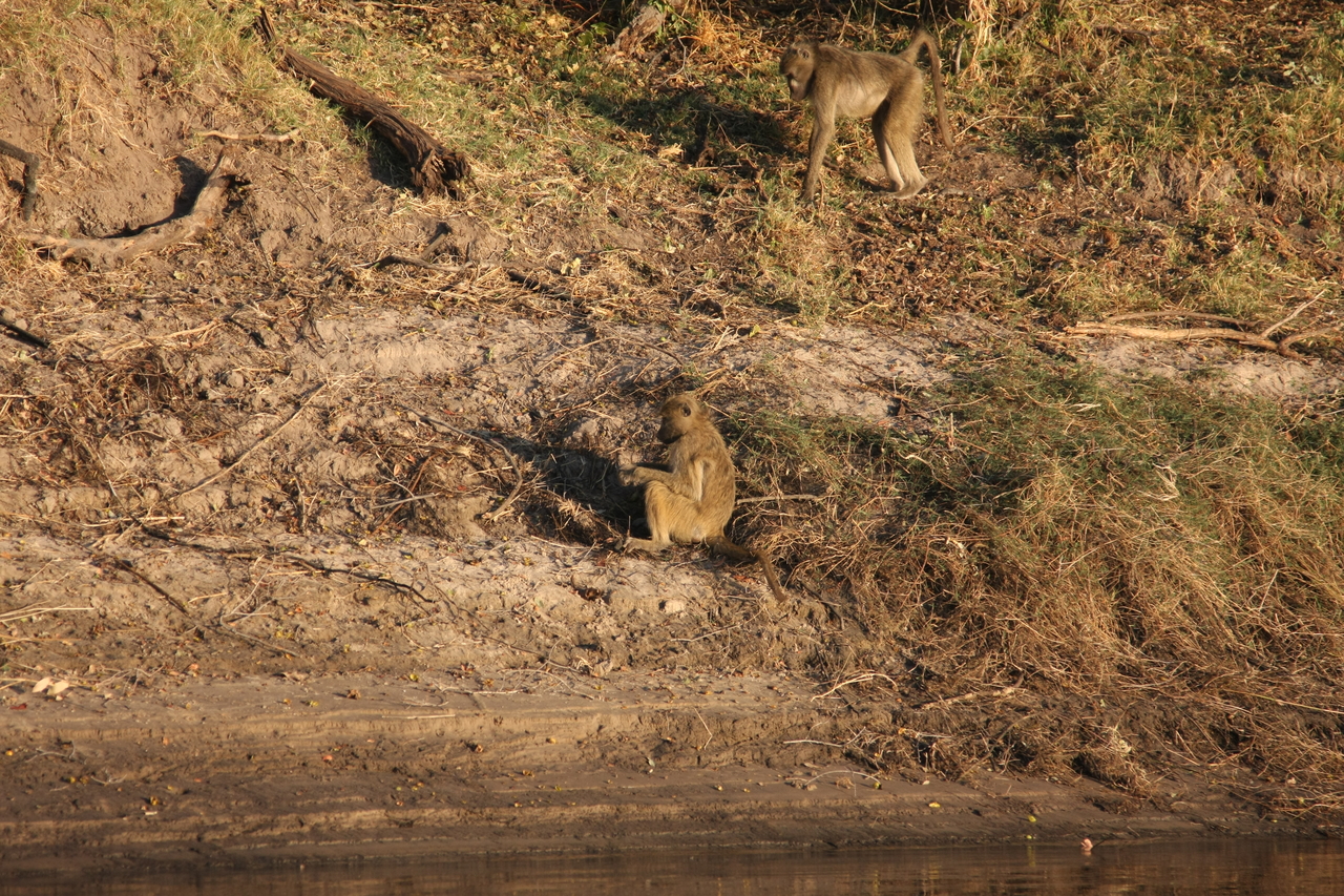 [33715] 2016_07_04_11_17_58_Africa_Canon_EOS_40D_IMG__13266.jpg